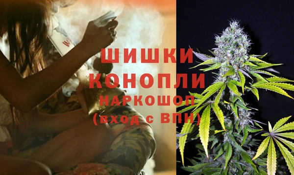 эйфоретик Покачи