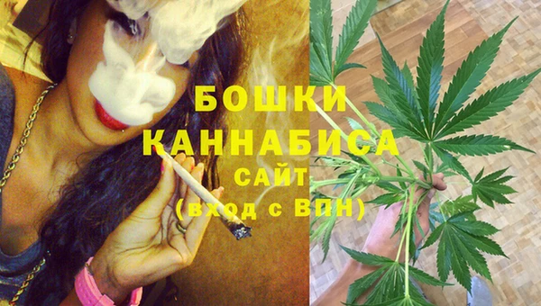 эйфоретик Покачи