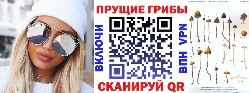 Псилоцибиновые грибы прущие грибы  цена наркотик  Костомукша 